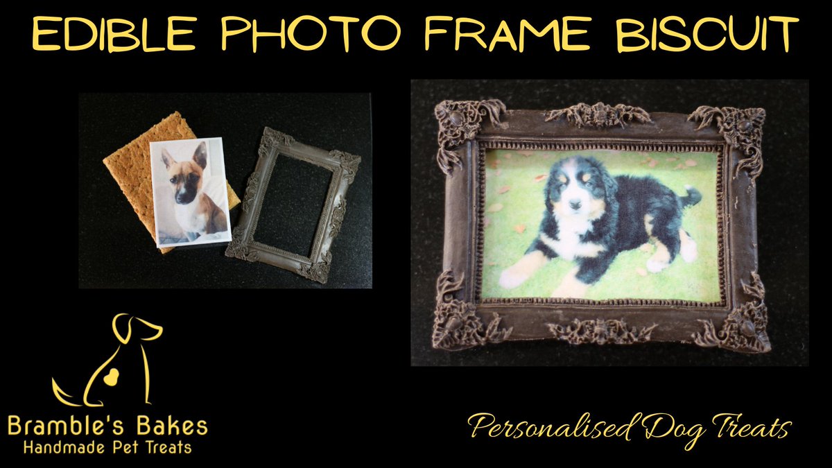 Brambles_Bakes's tweet photo. A completely edible portrait of your dog. This is a delicious peanut butter biscuit with a doggy chocolate photo frame and an edible image. We can print any picture that you choose. Order yours from https://t.co/Pwox8i7Dyg https://t.co/Fnm89ZyyE0