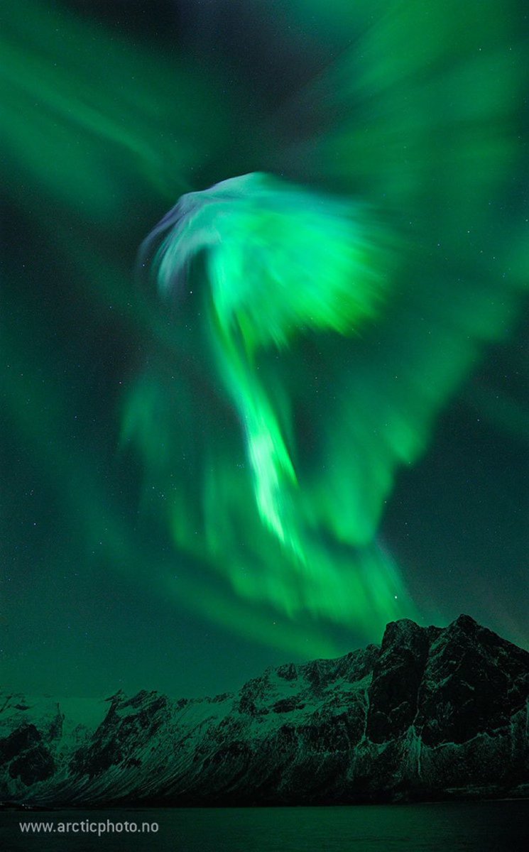 Eagle 🦅 Aurora in Norway 🇳🇴 📷B. Jørgensen