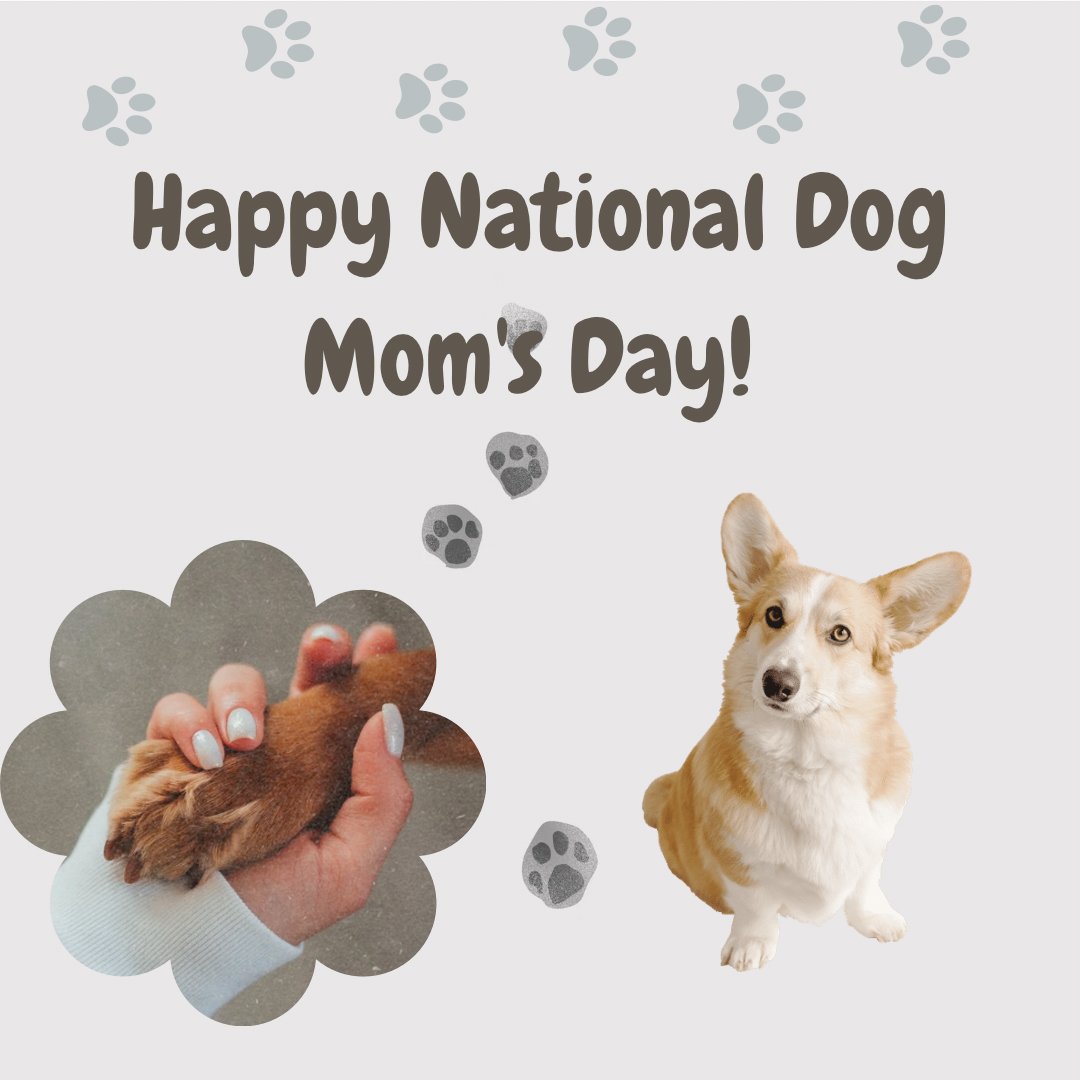 Happy National Dog Mom's Day to all the pawsome moms out there! 🐾💕 Did you know that State Farm offers pet insurance? Call or text today at (484) 840-8992 and give your furry friend the care they deserve without worrying about the cost. 🐾💖 #NationalDogMomsDay