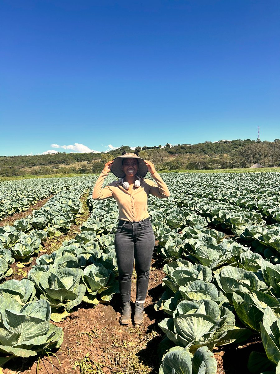 Farmers never get fear of working hard even on the #sunny days, they only fear making mistakes again. Do you believe so? Have a blessed #weekend! 📸:@ModoP88