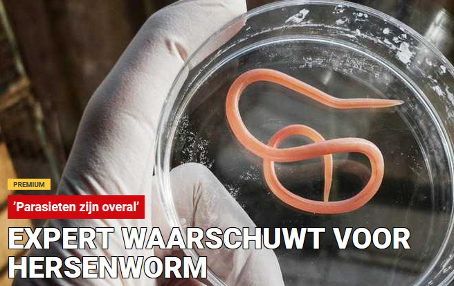Er is al vaak voor gewaarschuwd dat er aliens zijn die wormen in de hersens van mensen planten. Hoe groter de worm, hoe linkser het gedrag.
De reden is dat de besmette mensen alles wat opgebouwd is vernietigen zodat de invasie van de aliens van een leyen dakje gaat.
