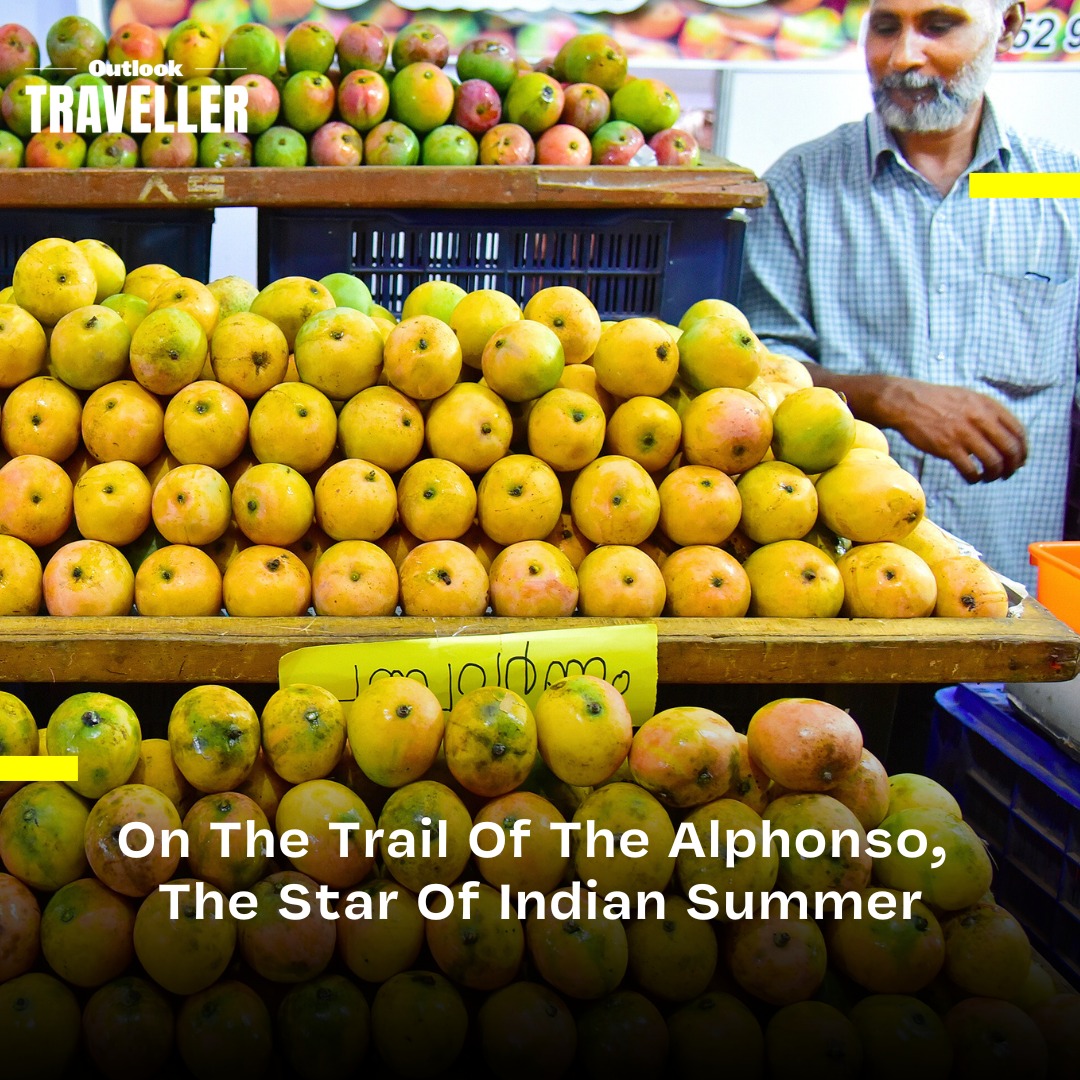 Obsessed with mangoes? Well, it's mango season, so what better way to express your love for the fruit than by going on a journey through the history of its cultivation? #OutlookTraveller #TravelTrail #Travel #Maharashtra #TravelGuide #Summer outlooktraveller.com/experiences/fo…