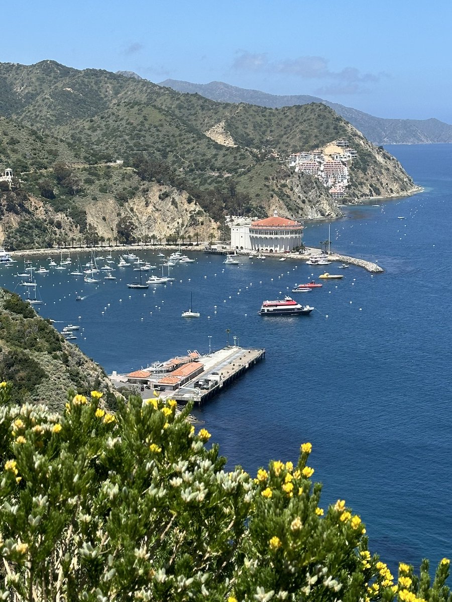 Nice day to visit Catalina Island, 26 miles across the sea. . .