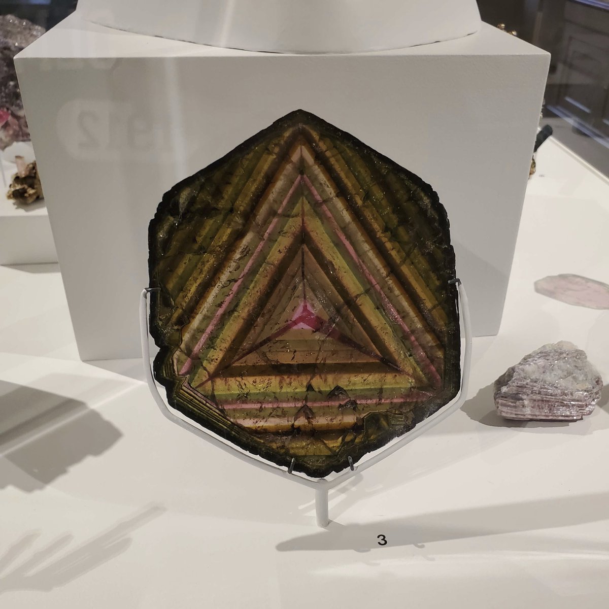 aartvarkt's tweet image. the Harvard Museum of Natural History has their own portal into the Traveler
#Destiny2 #Destiny2Lightfall