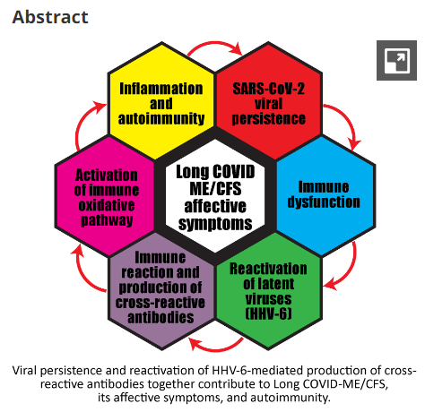 Immunosciences lab research recently studied 90  #LongCovid patients & shown they have biomarkers of SARS2 viral persistence, HHV-6 reactivation, autoimmune reactions to activin-A, & activated immune oxidative pathways.  These markers showed 80% significant predictive accuracy.