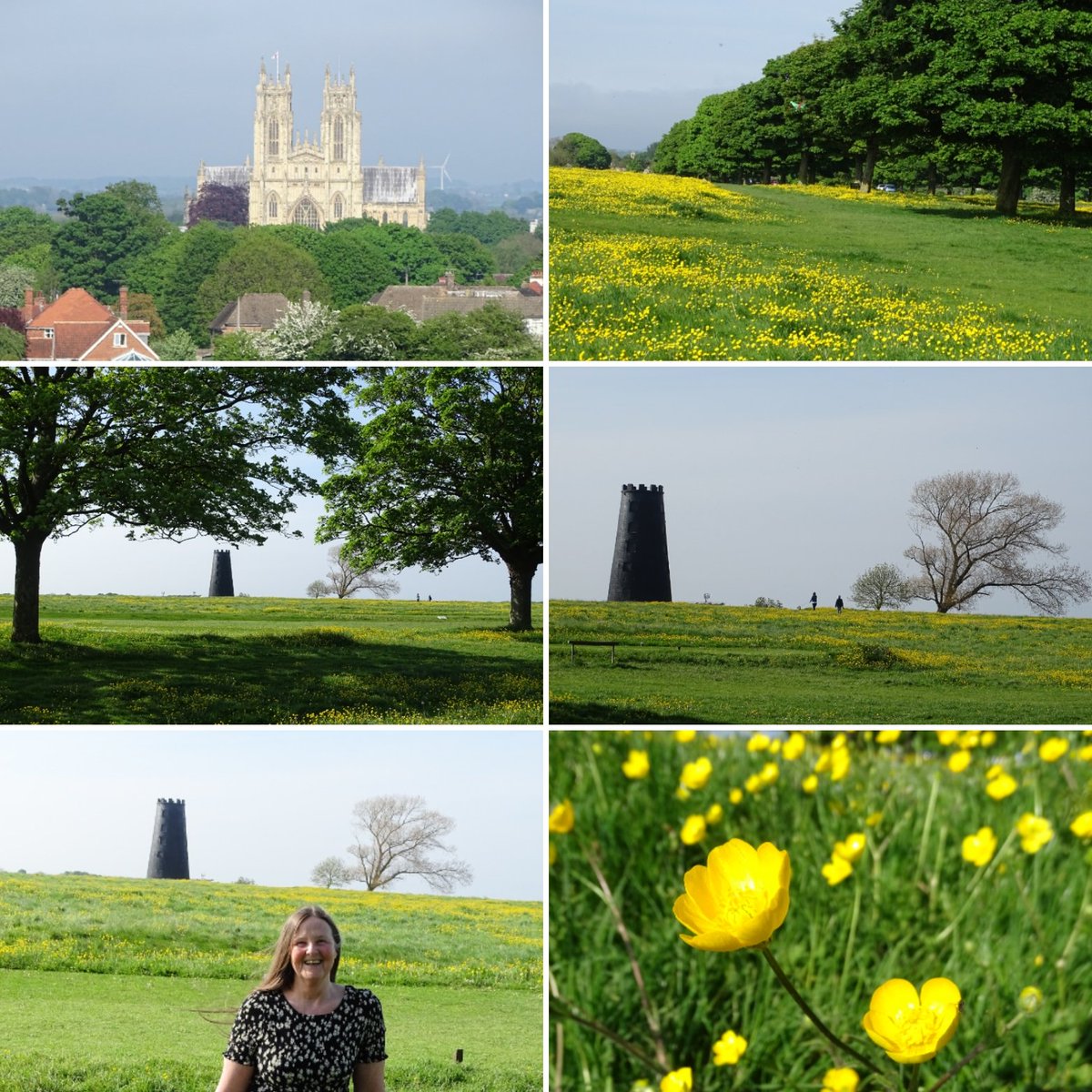 A glorious early evening on Beverley Westwood #beverley #westwood #beverleywestwood #beverleyminster #blackmill #buttercups #meadow #pasture #commonland #spring #may #sunshine