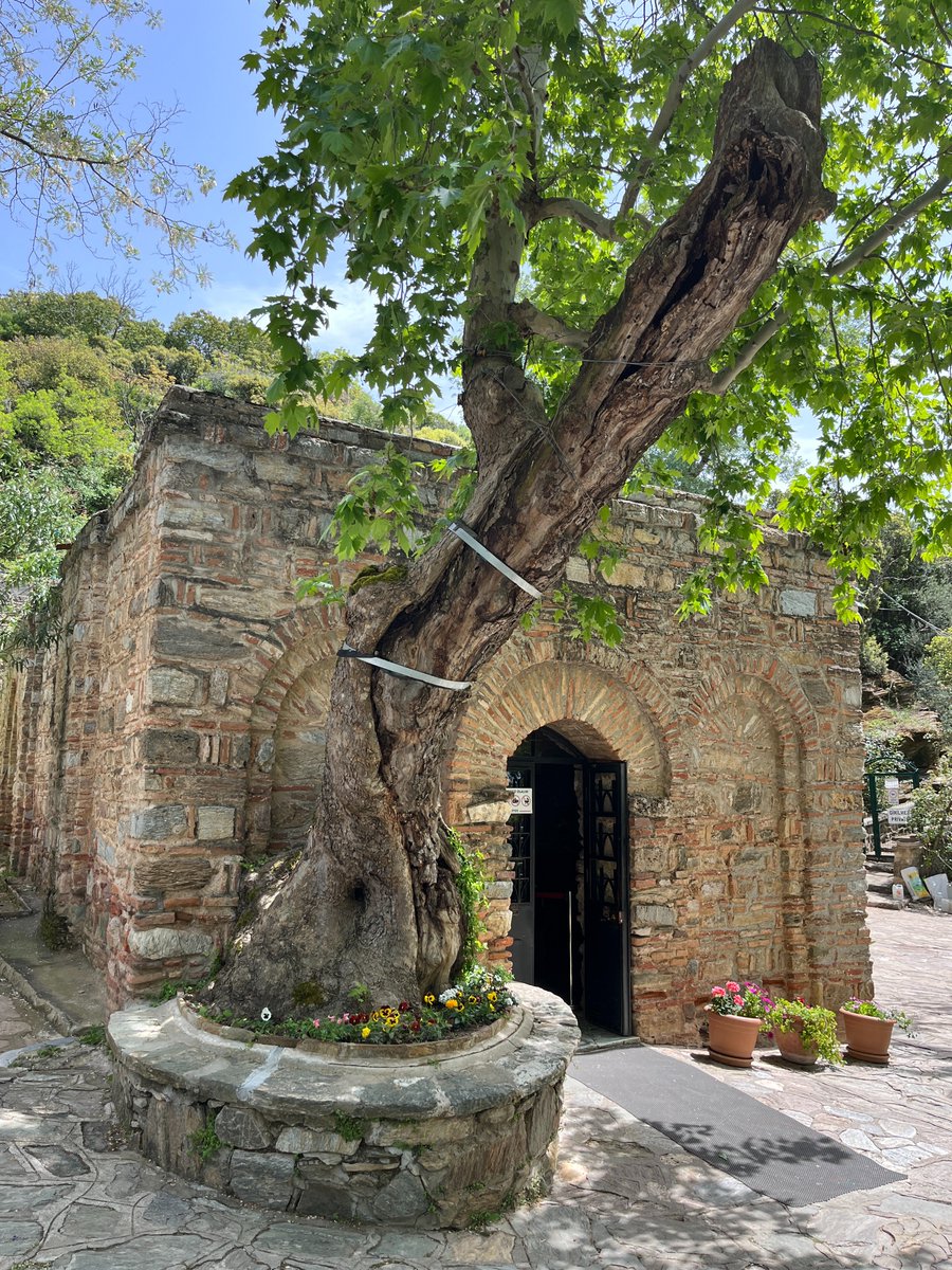 AndreasGWolff's tweet photo. Destination Izmir: Turkish culture spiced with Greek and biblical history https://t.co/xVks60yzDQ https://t.co/iVKtC2rflW