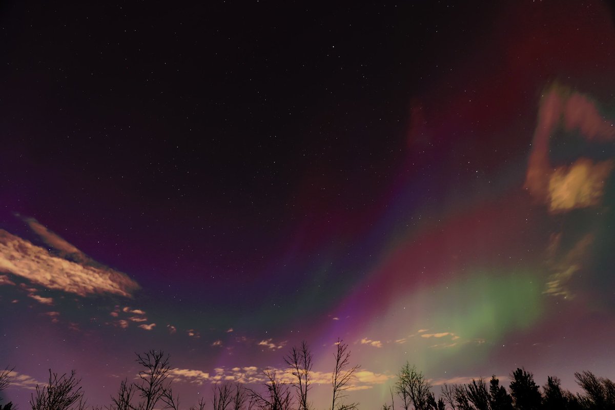 Kinxoc's tweet photo. @Montreal From my backyard (south shore) #Auroraborealis #auroreboreale #northenlights #Montreal https://t.co/VuEtmWTHnR