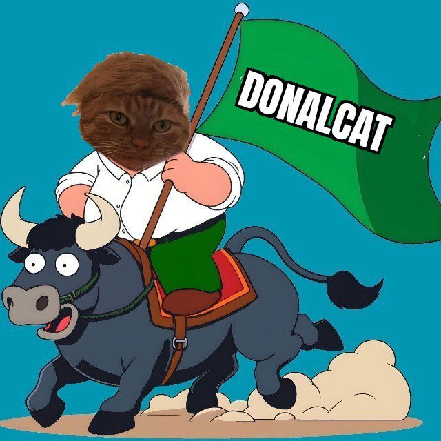 MetaverseAnime's tweet photo. @blknoiz06 Instead you should buy @DonaldCat_SOL which has two meta’s Trump +Cat it is a no brainer… https://t.co/9yjRYQyzLb