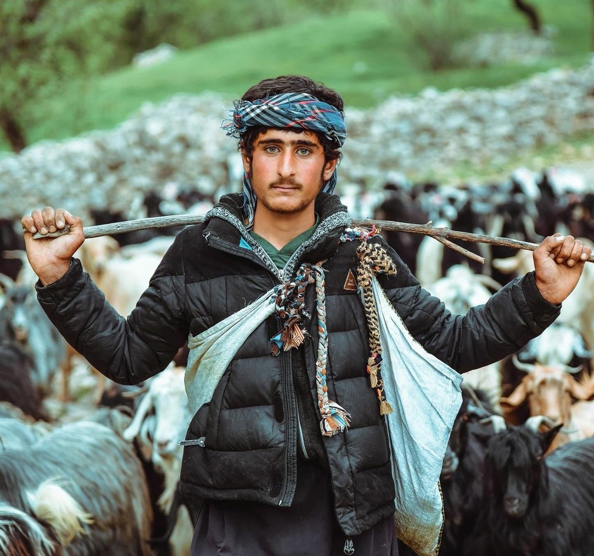 Portrait of a Kurdish shepherd.
📷: Muhamad Mrad Akoyi| IG
