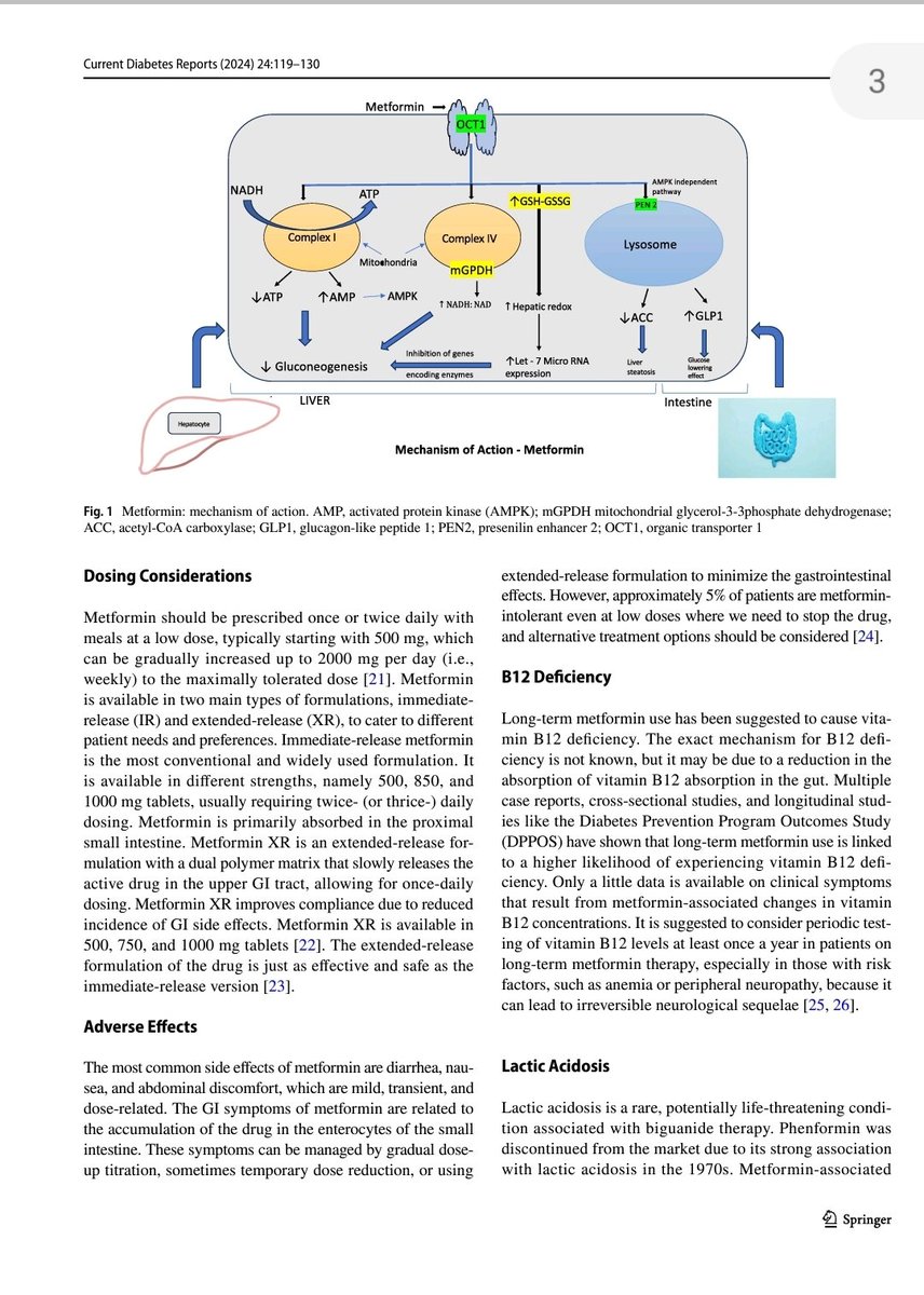 🔴Metformin: Past, Present, and Future #2024Review 

link.springer.com/article/10.100…
 #CardioEd #Cardiology #CardioTwitter #cardiovascular #FOAMed #MedTwitter #medtwitter #CardioTwitter #paramedic #MedX #meded #cardiotwiteros #cardiotwitter #MedEd