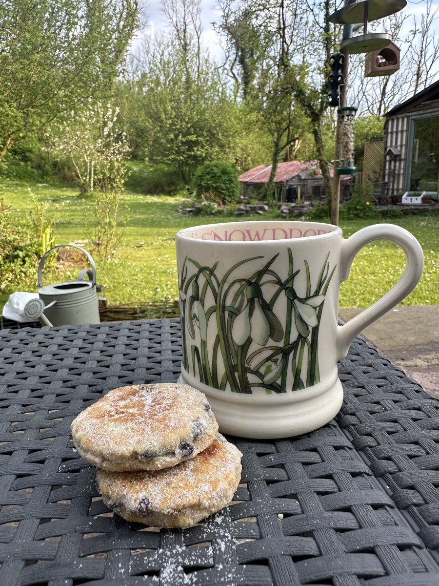 Having a sit down… with a cuppa and lemon & ginger Welsh cakes made by my lovely neighbour. Delicious! I can hear a cuckoo calling too….. 😍😍 #GwylltHollow