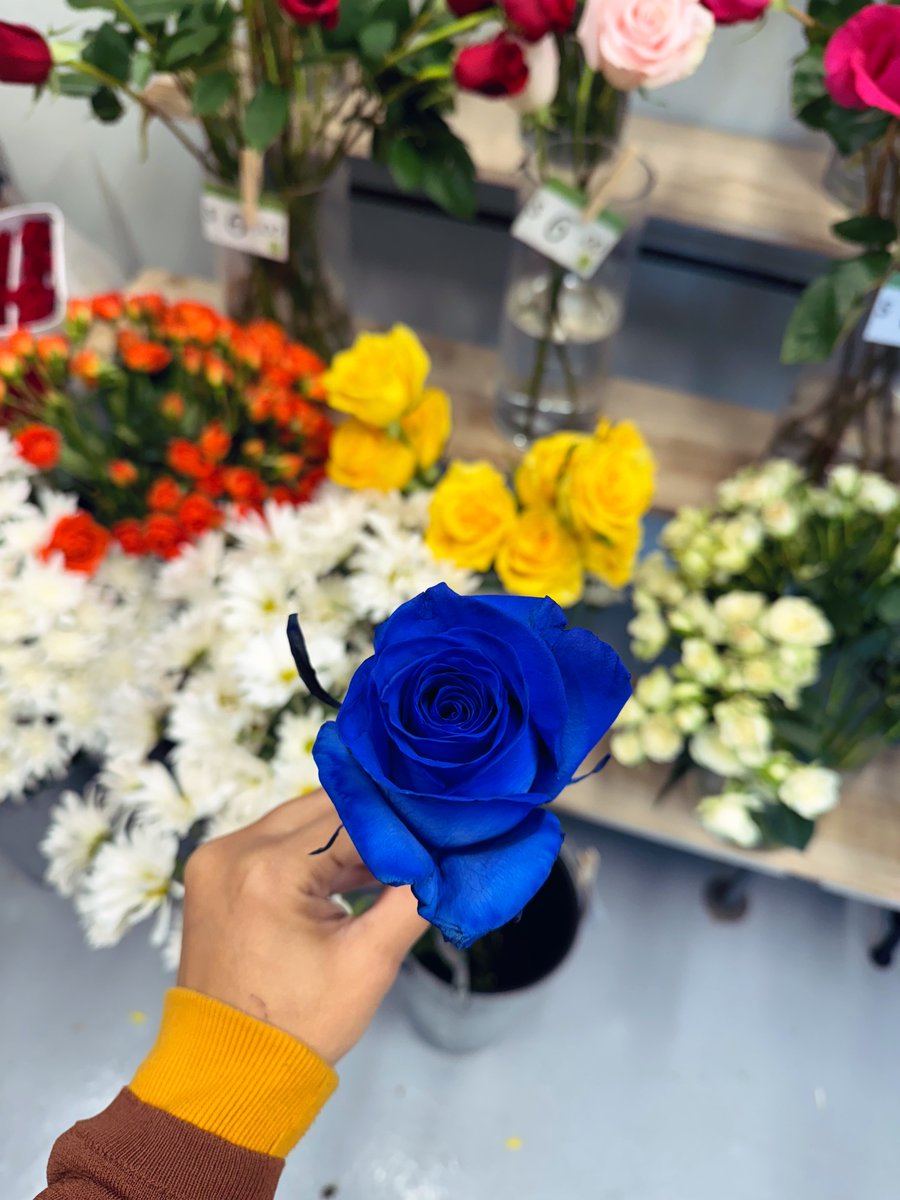 Blue! 
#FlowerHunting