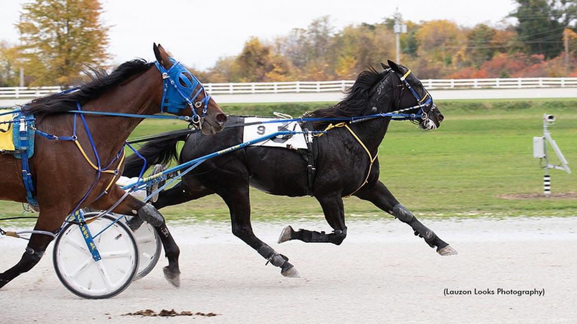 Opening day is 3 months from today! #HarnessRacing #BetLeamington