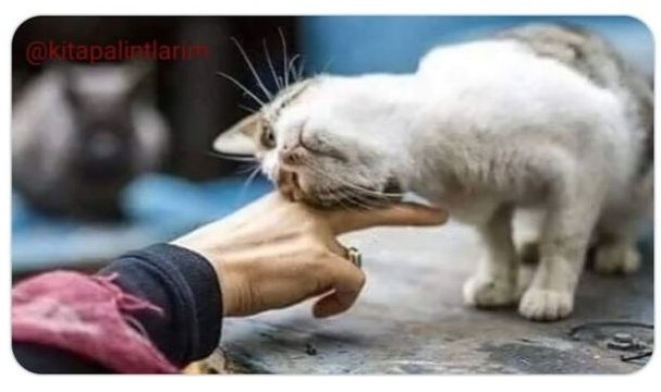 Bunun kadar doğru çok az cümle okudum; 'Merhametsiz olan herkes kaybedecek. Her gün bir şeyini. Bir gün her şeyini.'