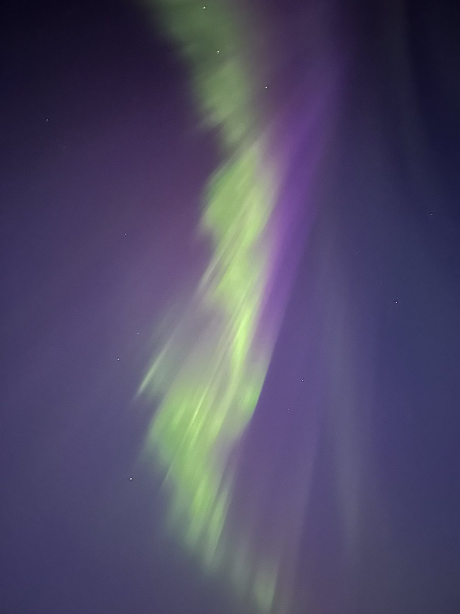 Are you kidding me? One of the many perks of teaching in Labrador 🌲🌒

When everything aligns, nature comes out to play ✨

<a href="/NLSchoolsCA/">NLSchools</a> <a href="/NLTeachersAssoc/">NLTA</a> <a href="/JRSSchool/">JRS Middle School</a> <a href="/mmerboone/">Mme. Boone</a>

#TeachinginLabrador 
#NorthernLights