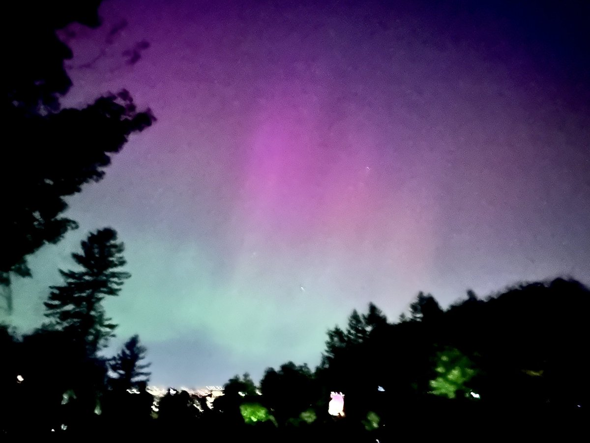 Sidhartha Tavri, MBBS DABR FSIR tweet media