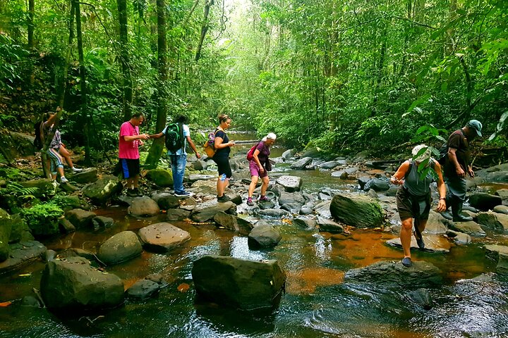 In the forest with friends #water #recreation #wood #stream #man #motion #nature #river kit.co/Emyzion/discov…