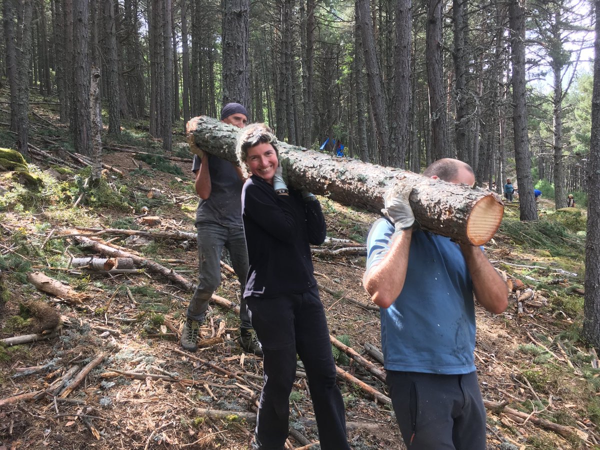 Obrim inscripcions per al projecte d'Esterri de Cardós🗻, en el marc del @custforest al @pnaltpirineu. Apunta’t a una de les setmanes del 22/7/24 al 14/9/24. Si tens flexibilitat, 🙏 vine al setembre. @FBiodiversidad #ProyectosPRTR #PlanDeRecuperacion #NextGenerationEU