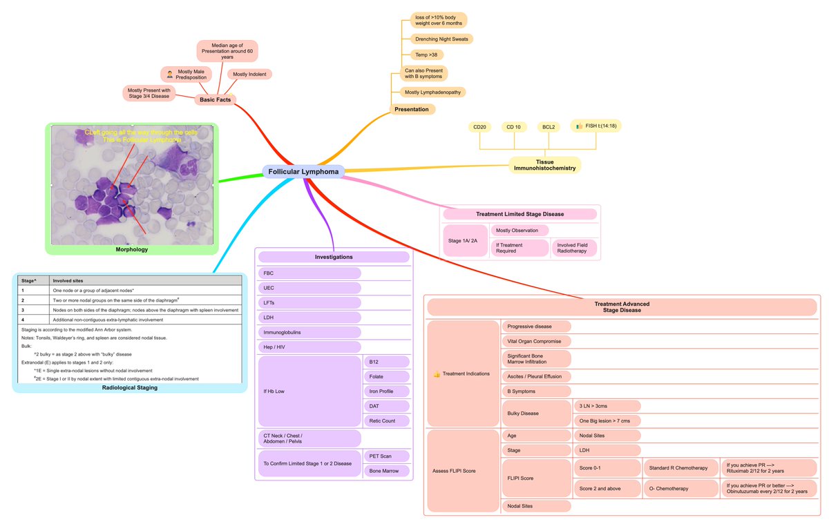 Trying to MindMap Diseases for Ease
This is Follicular Lymphoma👇
Tell me what you guys think 
Just Initial Diagnosis & First Line Therapy Approach
Beware : Slide is Info Rich🥸
#medicine #hematology #medtwitter #MedX #blooducation #neetpg2024