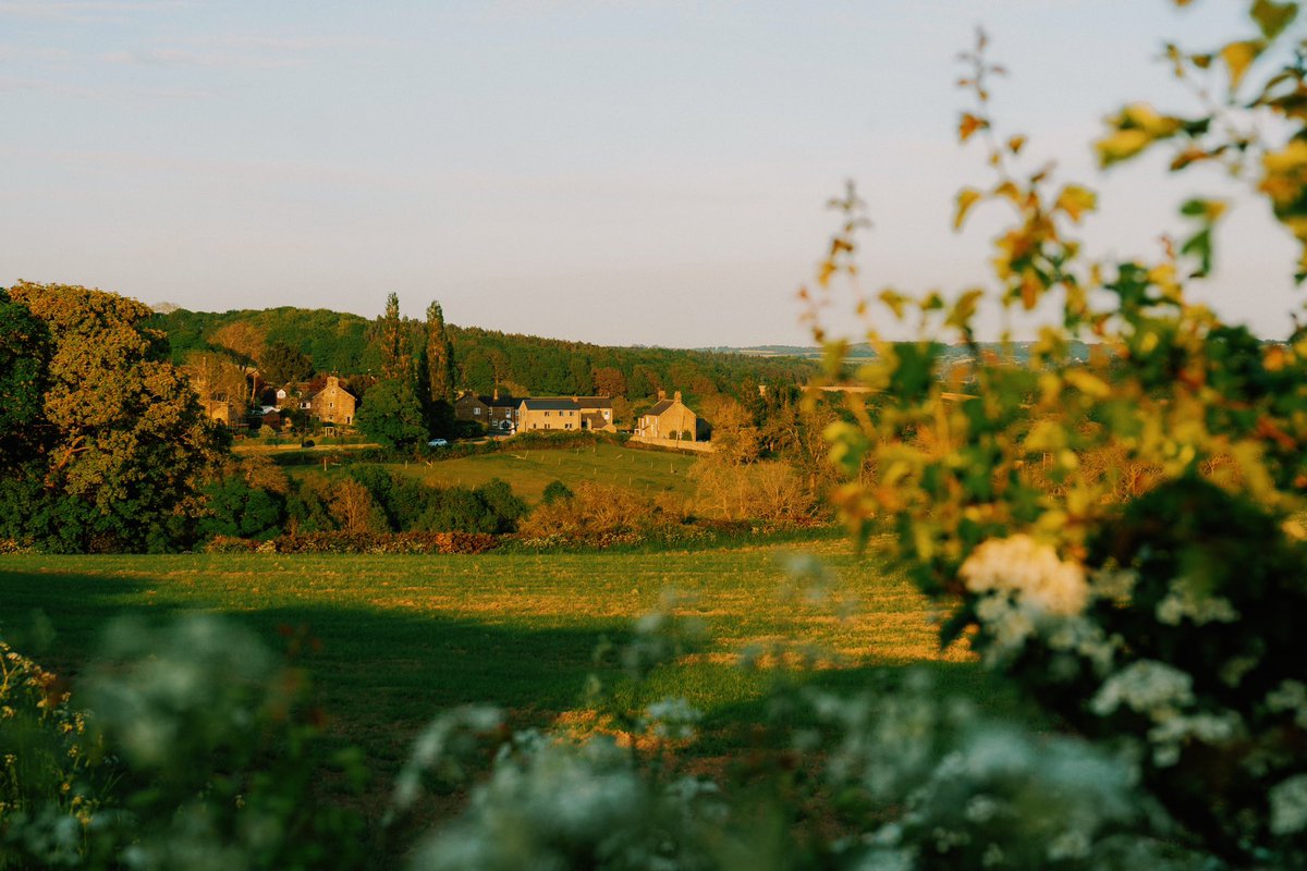 Warm evenings are back 🍃 //