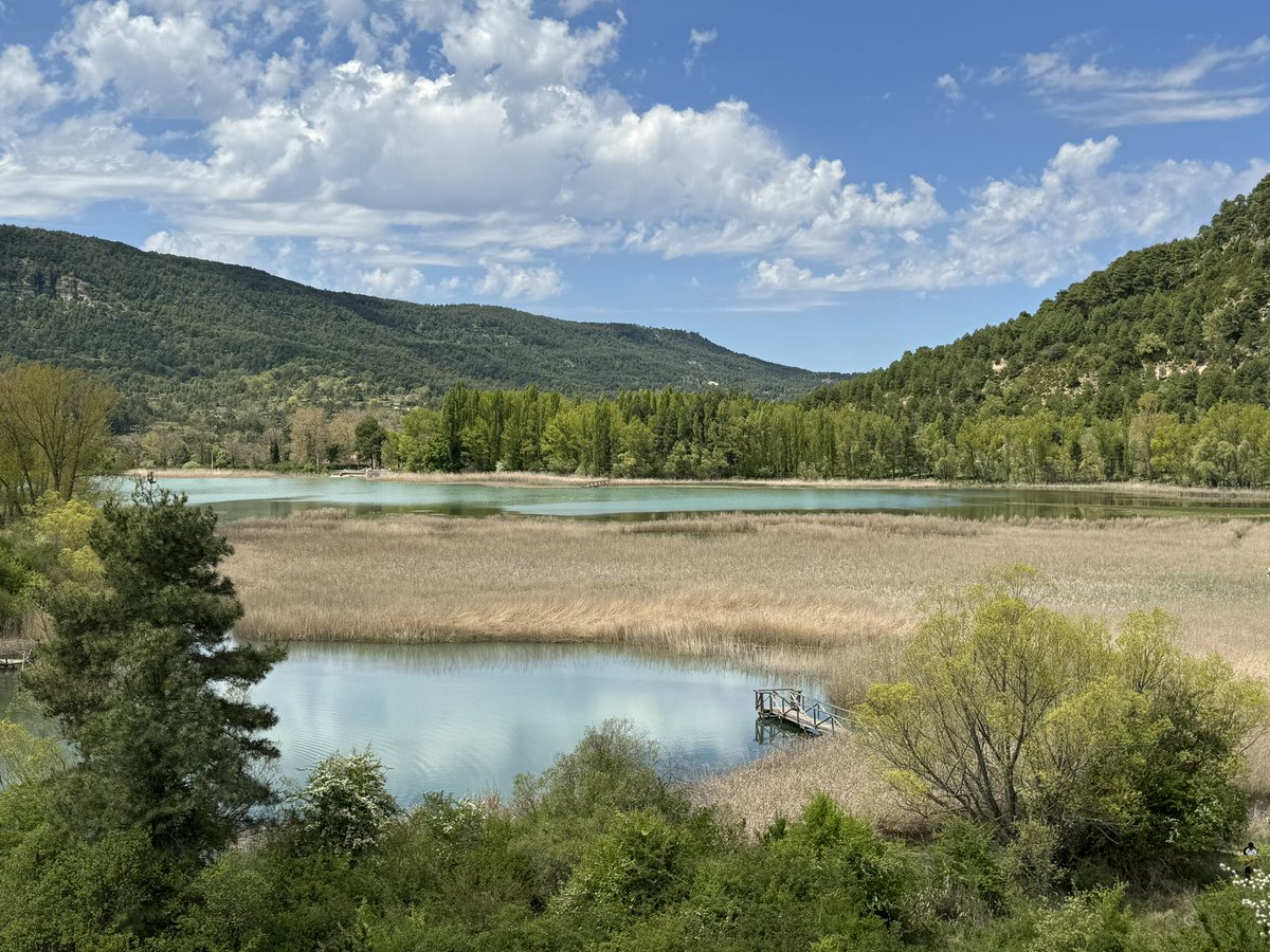 Irene Prieto tweet media