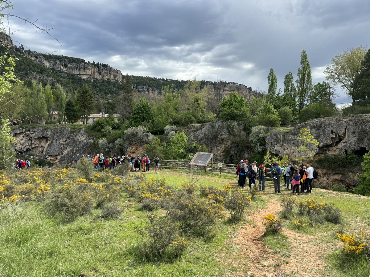 Irene Prieto tweet media