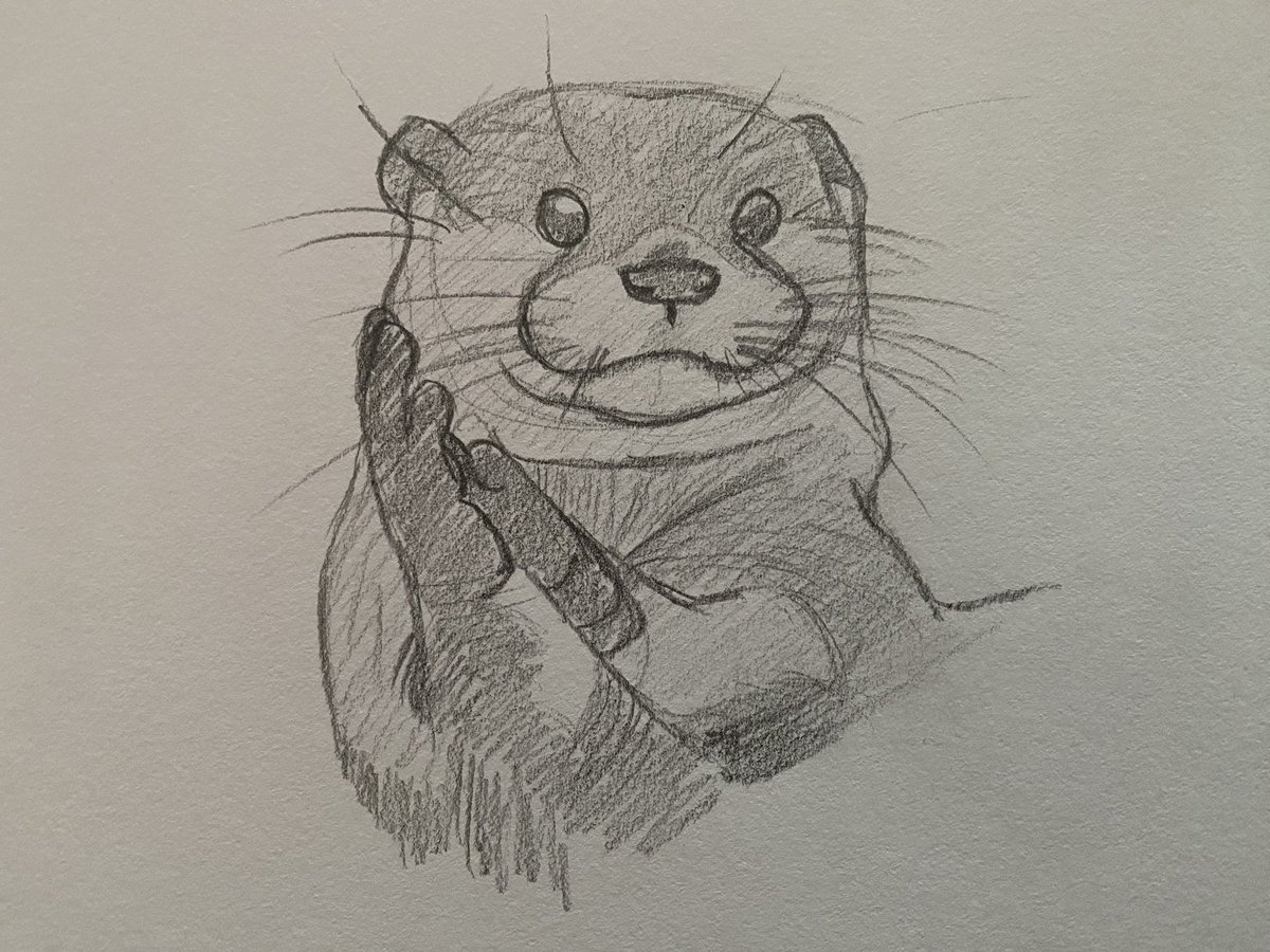 Otter for the day 🦦 🥰 

#wildlifeart #drawing #nature