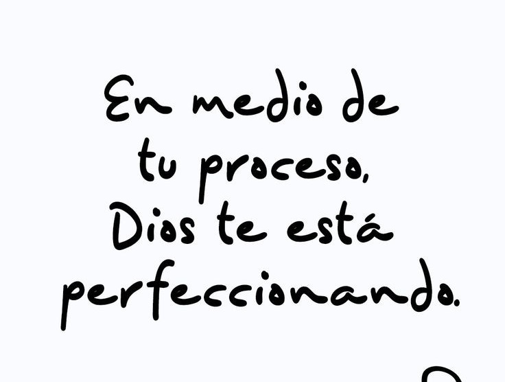 Jesús Nunca Falla (@Bibliaenlinea) on Twitter photo 2024-05-11 17:56:45