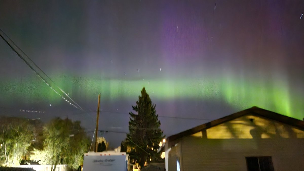 TachiGamer tweet media