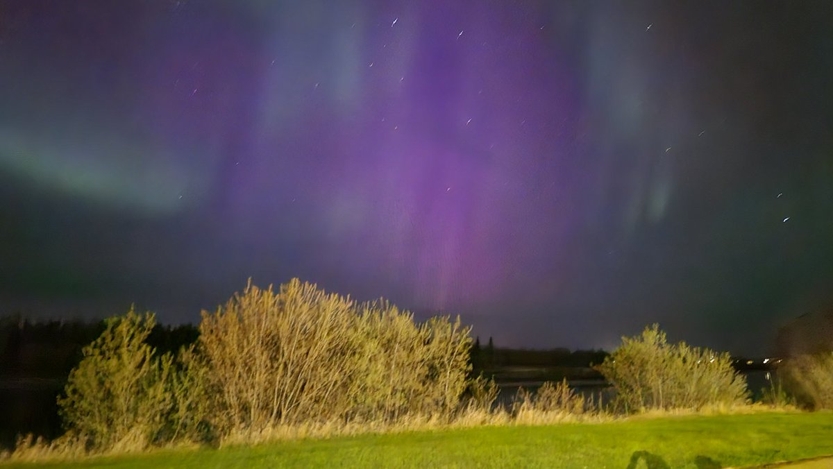 TachiGamer tweet media