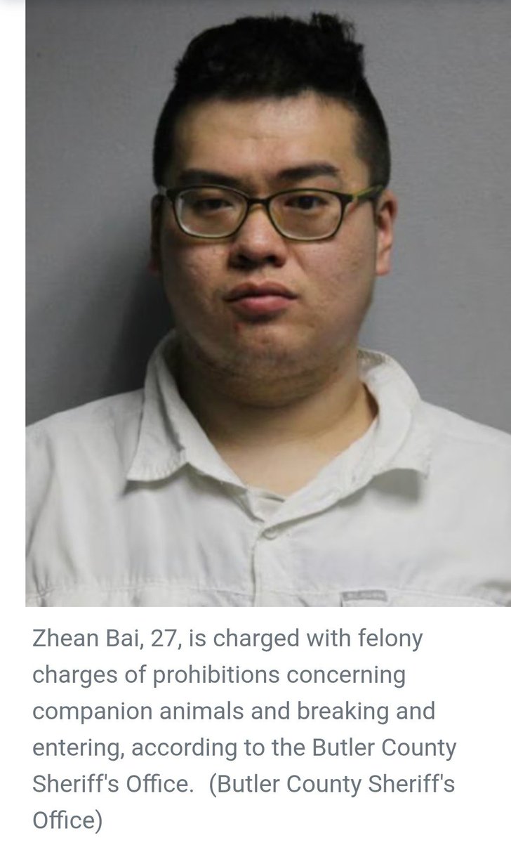 lmao look at this shit ass ugly ching chong cat abuser #ZheanBai