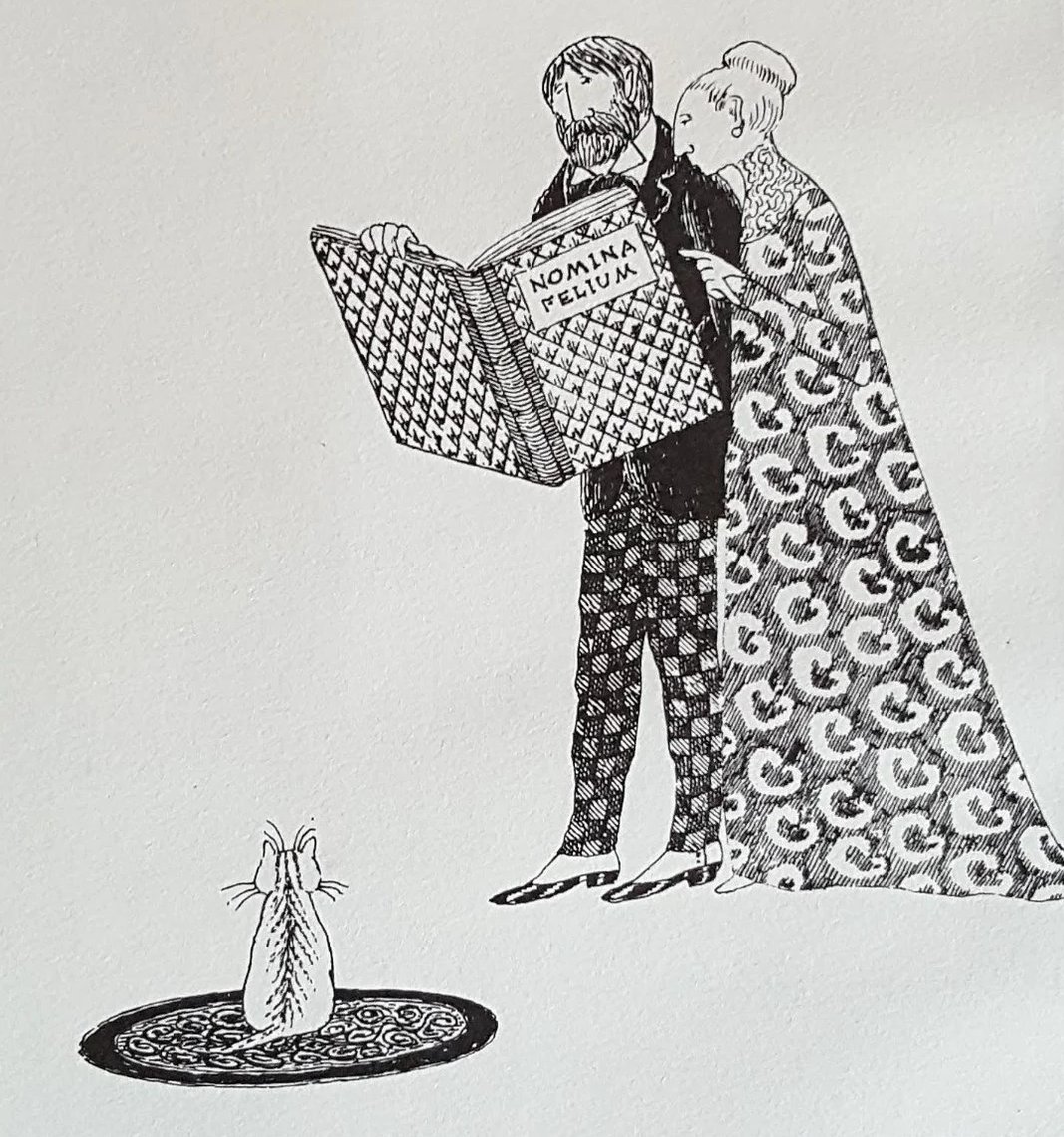 The Naming of Cats by T.S. Eliot 
illustration by Edward Gorey