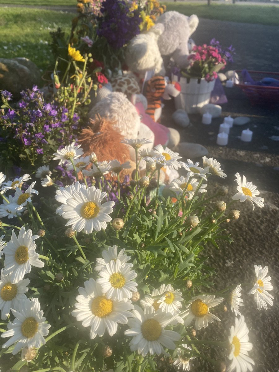A beautiful soul named Martin came by our 7/10 memorial in Brighton today and left daises. He has left flowers many times but I’d never met him. Always a thoughtful stranger. Even in the deepest darkness when we’re being made to feel isolated there are friends. There is kindness.