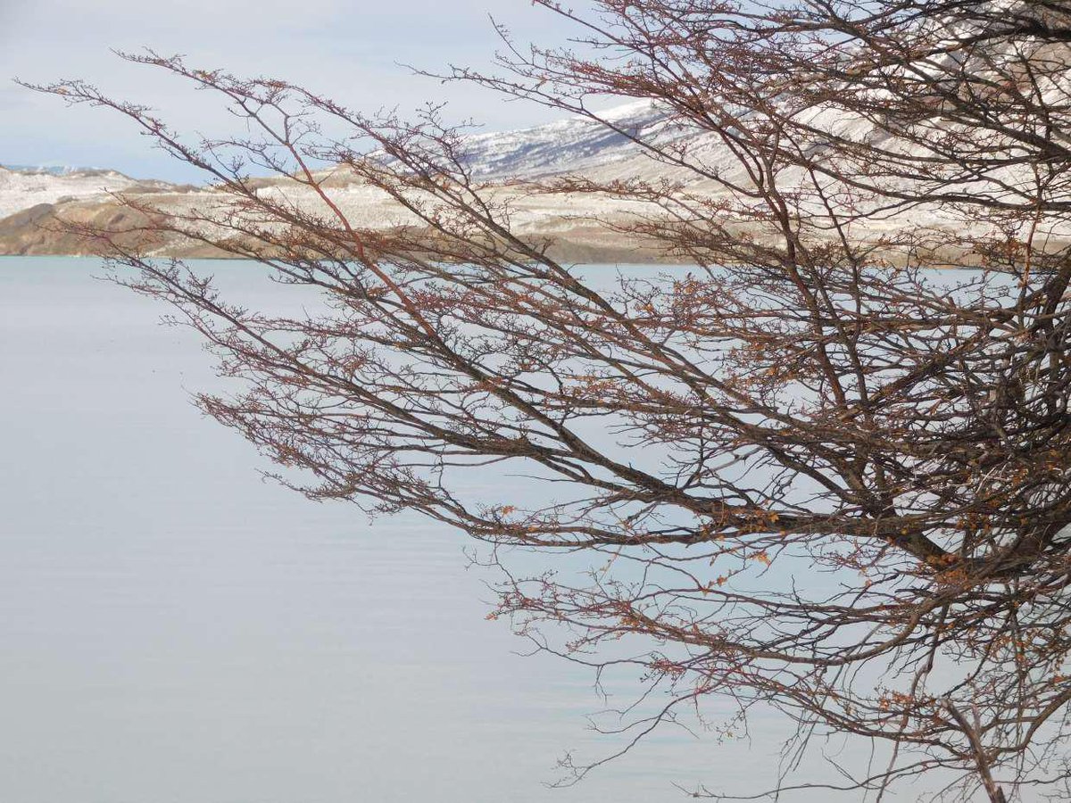 Turismo Provincia de Santa Cruz tweet media