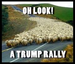 There is a #TrumpRally in New Jersey. Its a CULT! #morningjoe #deadlinewh #maddow #theview Jen Psaki Steve Bannon Wildwood