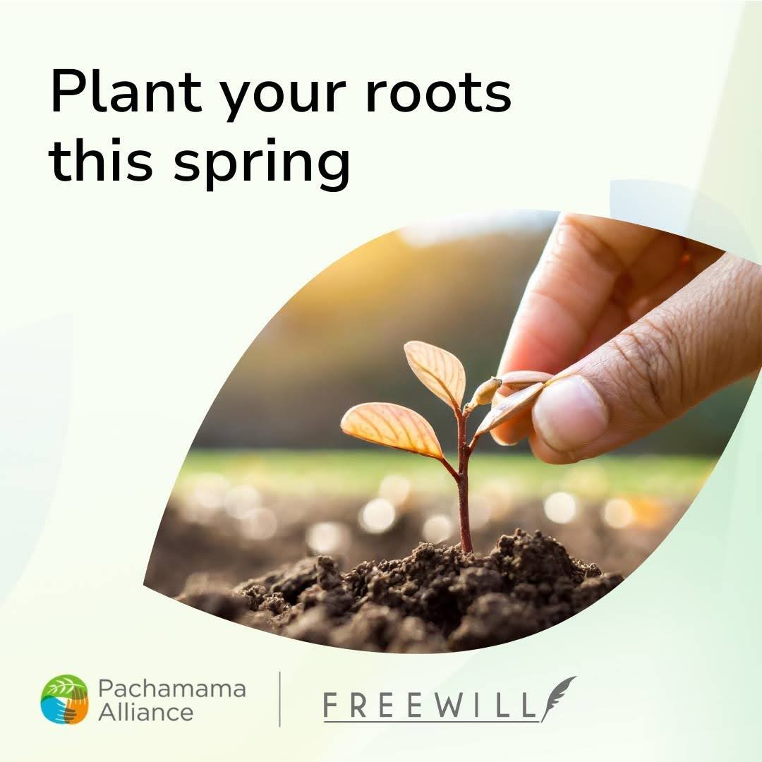 Let's honor our past, celebrate the present, and grow our future together 💚 With our partner, FreeWill, you can easily create a will for free to protect the people you love and the causes close to your heart. hubs.li/Q02wM71r0