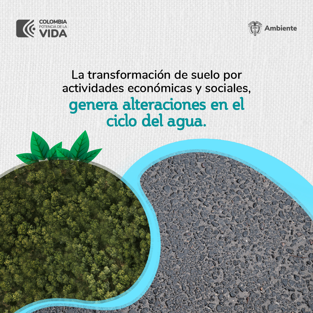 Cuando impermeabilizamos o pavimentamos los suelos con vocación ambiental se generan enormes impactos en el ciclo del agua. Respetemos los espacios naturales y hagamos la #PazConLaNaturaleza.🌎