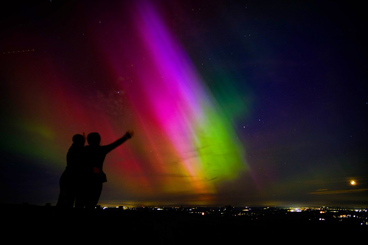 Veronika🐞 tweet media