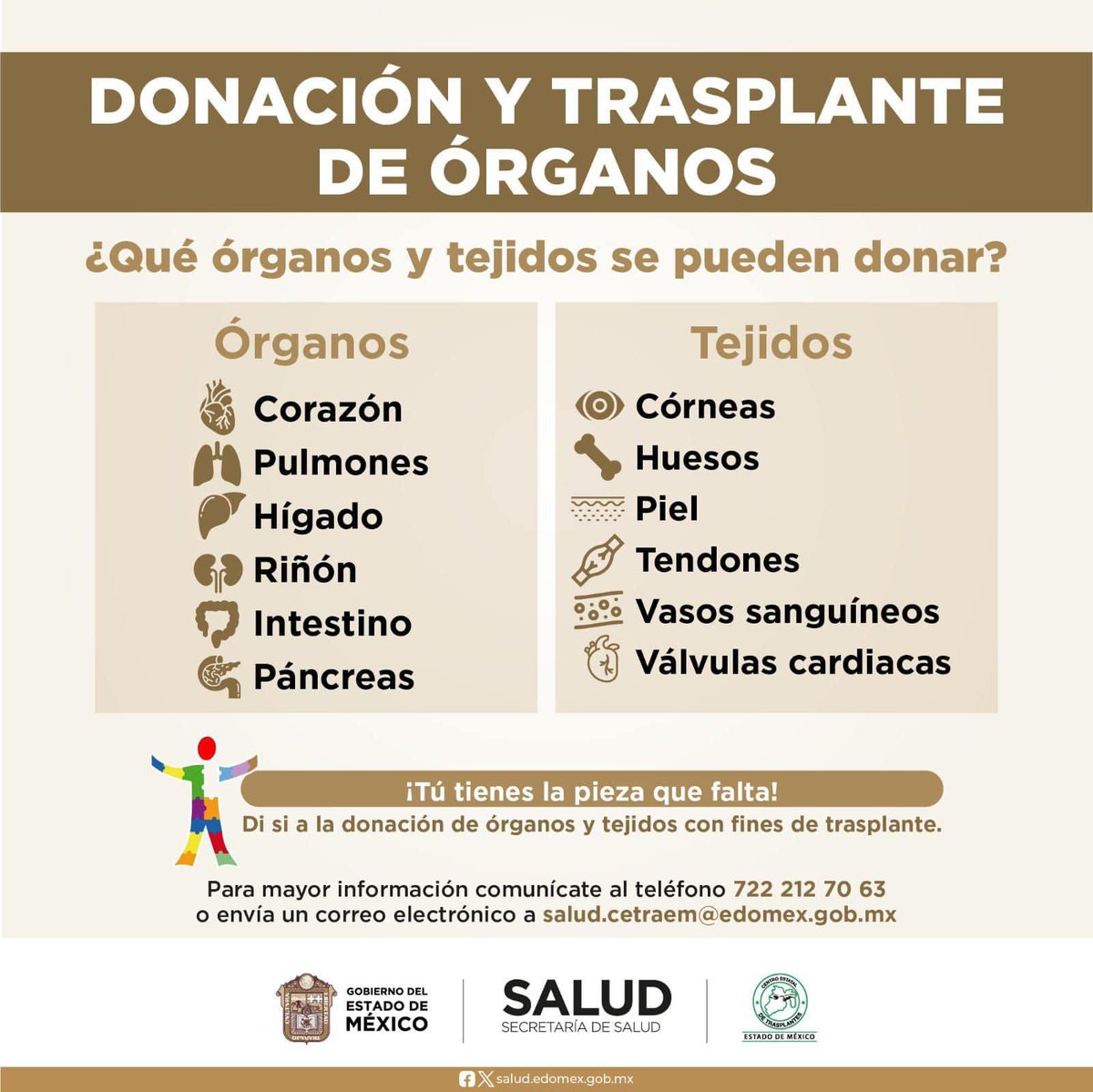 La donación altruista de órganos puede salvar hasta 7 vidas.
Conoce los requisitos para convertirte en una donadora o donador altruista, ingresa:
 cetraem.edomex.gob.mx.
¡Tu puedes ser un donador altruista!
#DonarÓrganosEsDonarVida