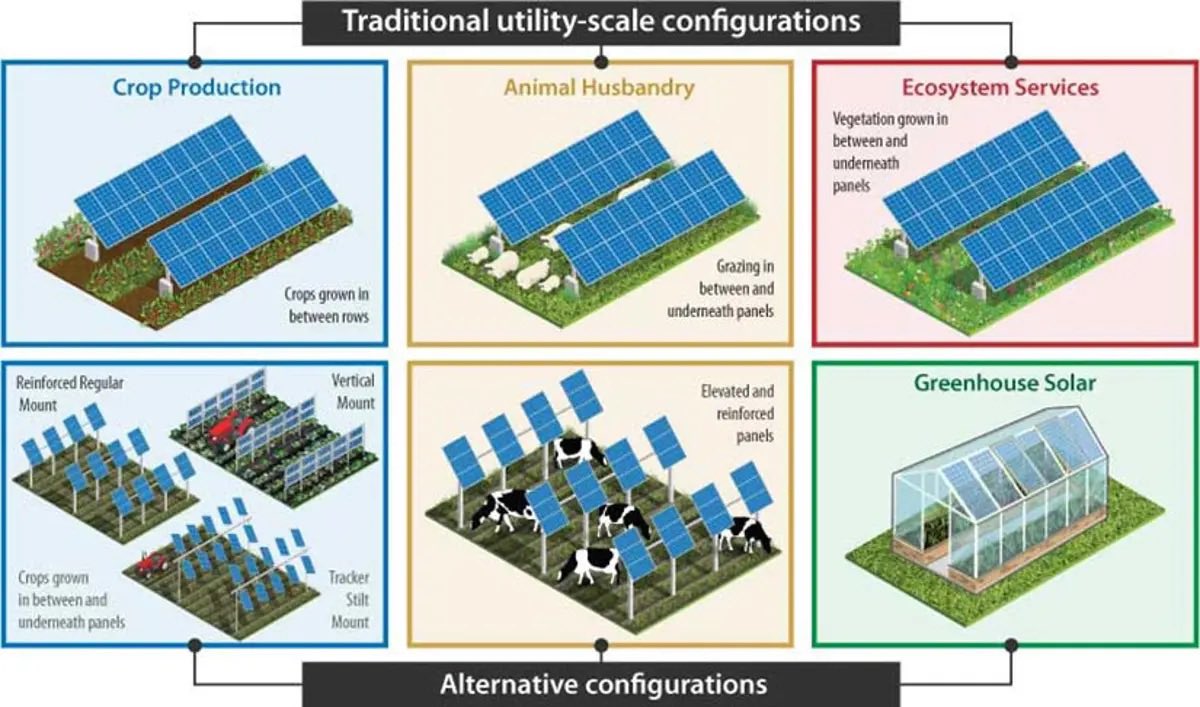 Agrivoltaics combines agriculture with solar energy generation. 🌞 

Which type is your favorite? 👇
