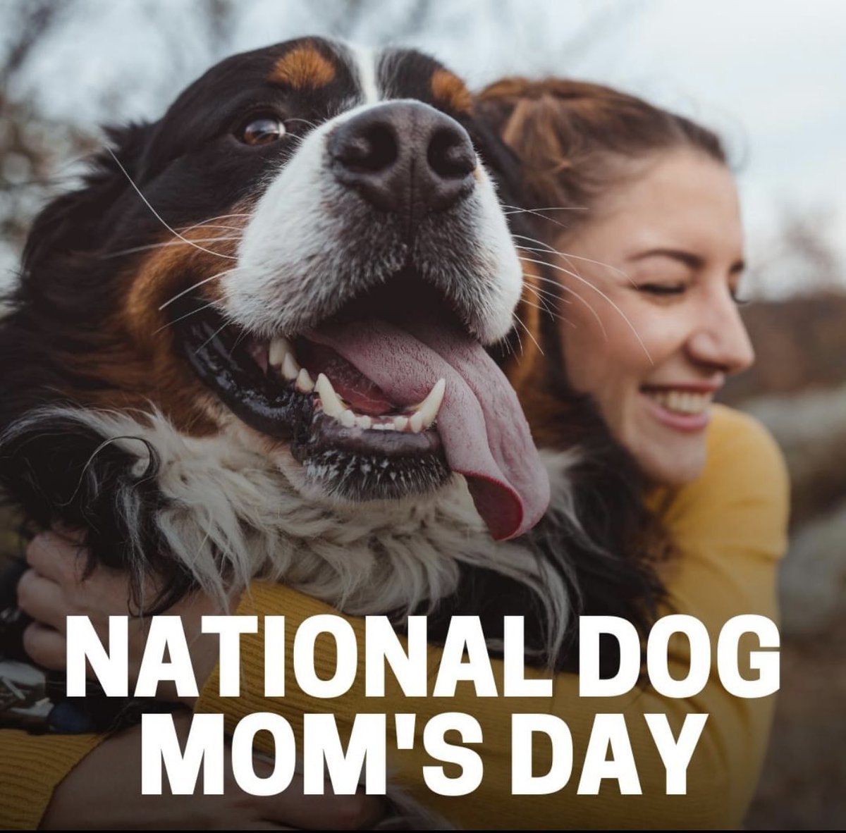 Happy National Dog Mom’s Day! 🌞🐕🐾

#NationalDogMomsDay  #DogsOfX