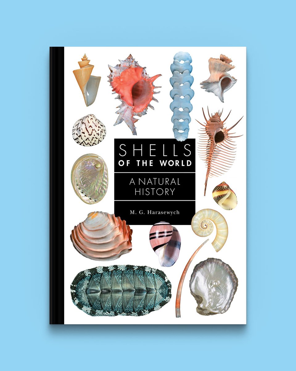 Shells of the World by M. G. Harasewych is now available and offers a marvelously illustrated natural history of the world’s #mollusks. Enjoy a free sample of this beautiful book today: hubs.ly/Q02tFDZc0 #shells