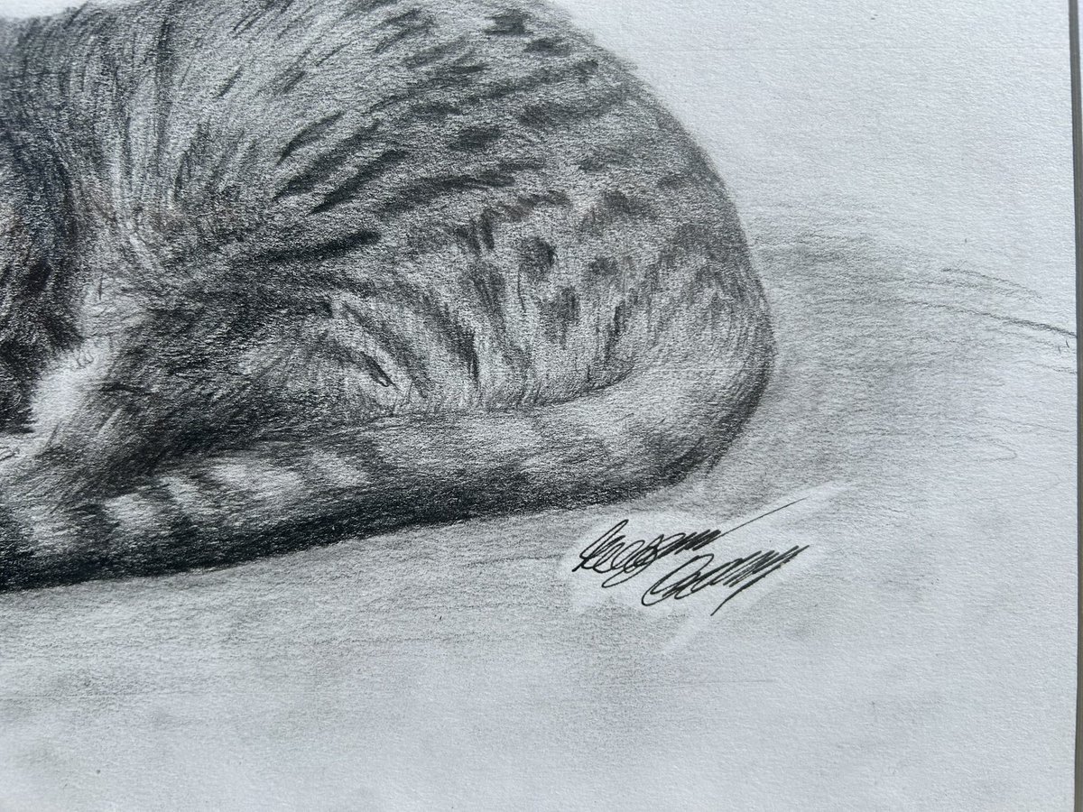 IamDORKeegan tweet media