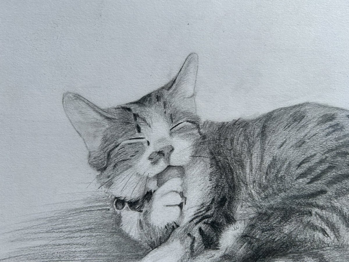 IamDORKeegan tweet media