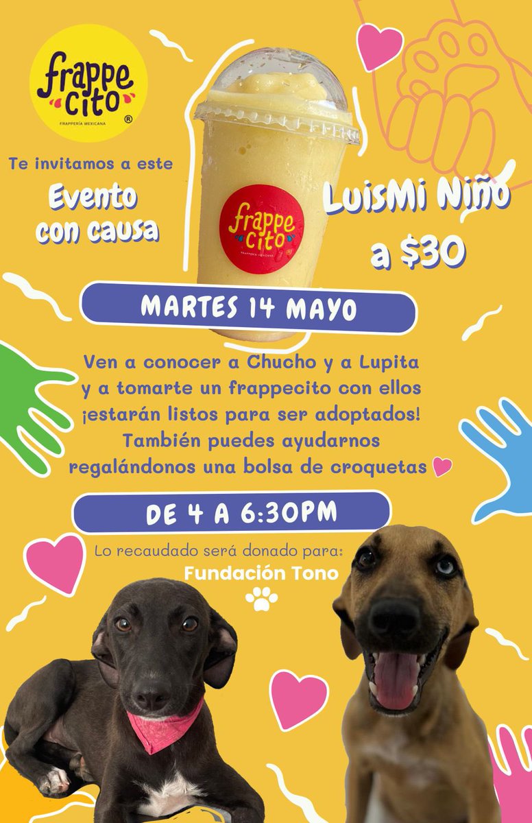 frappecito's tweet photo. Luismi para todos! 💛🥤💦
#FundaciónTono 🐾 https://t.co/iwPr1mrCln