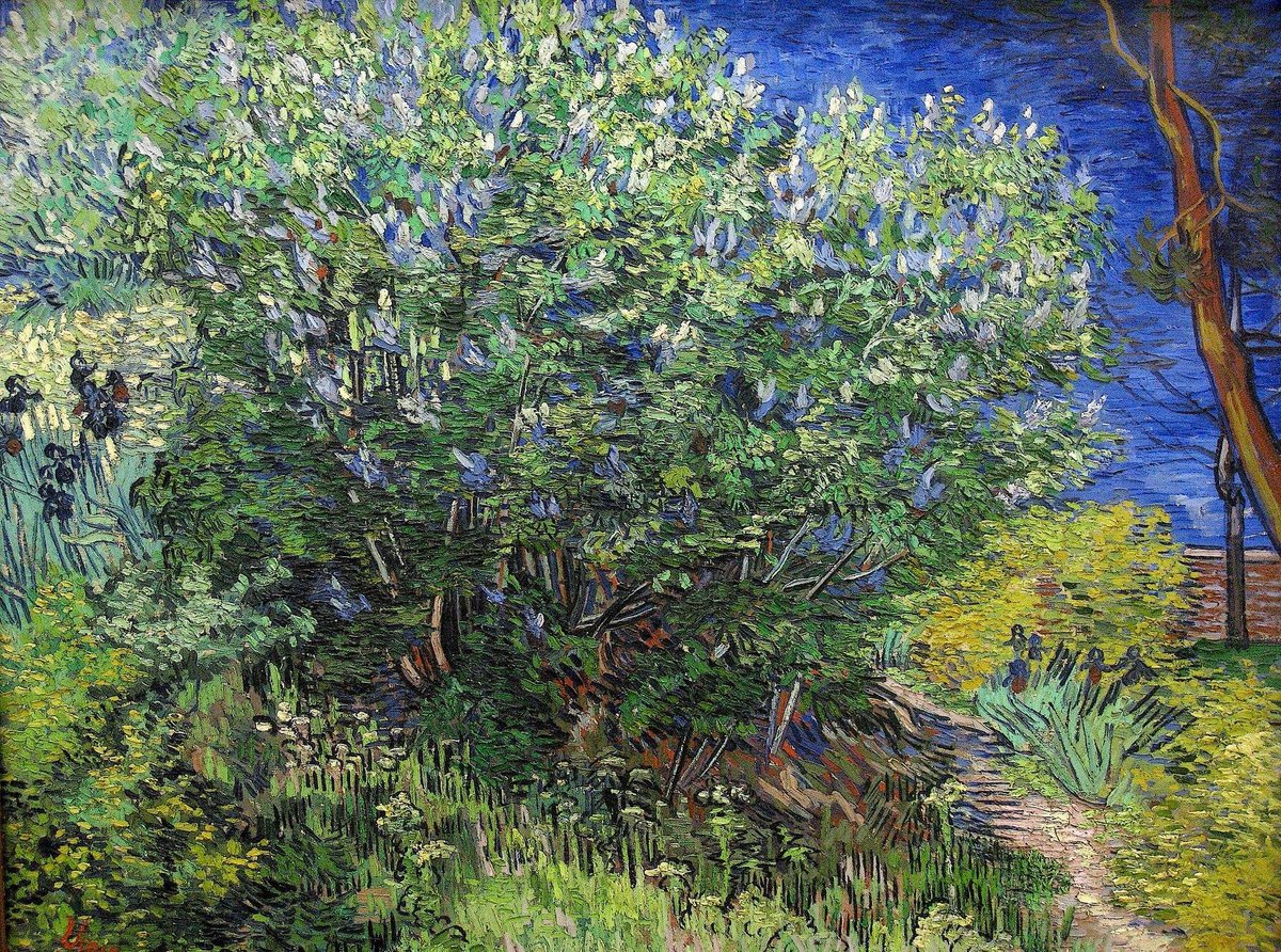 Vincent van Gogh: 'Lilac Tree,' 1887
