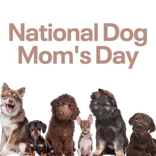 #nationaldogmomsday
