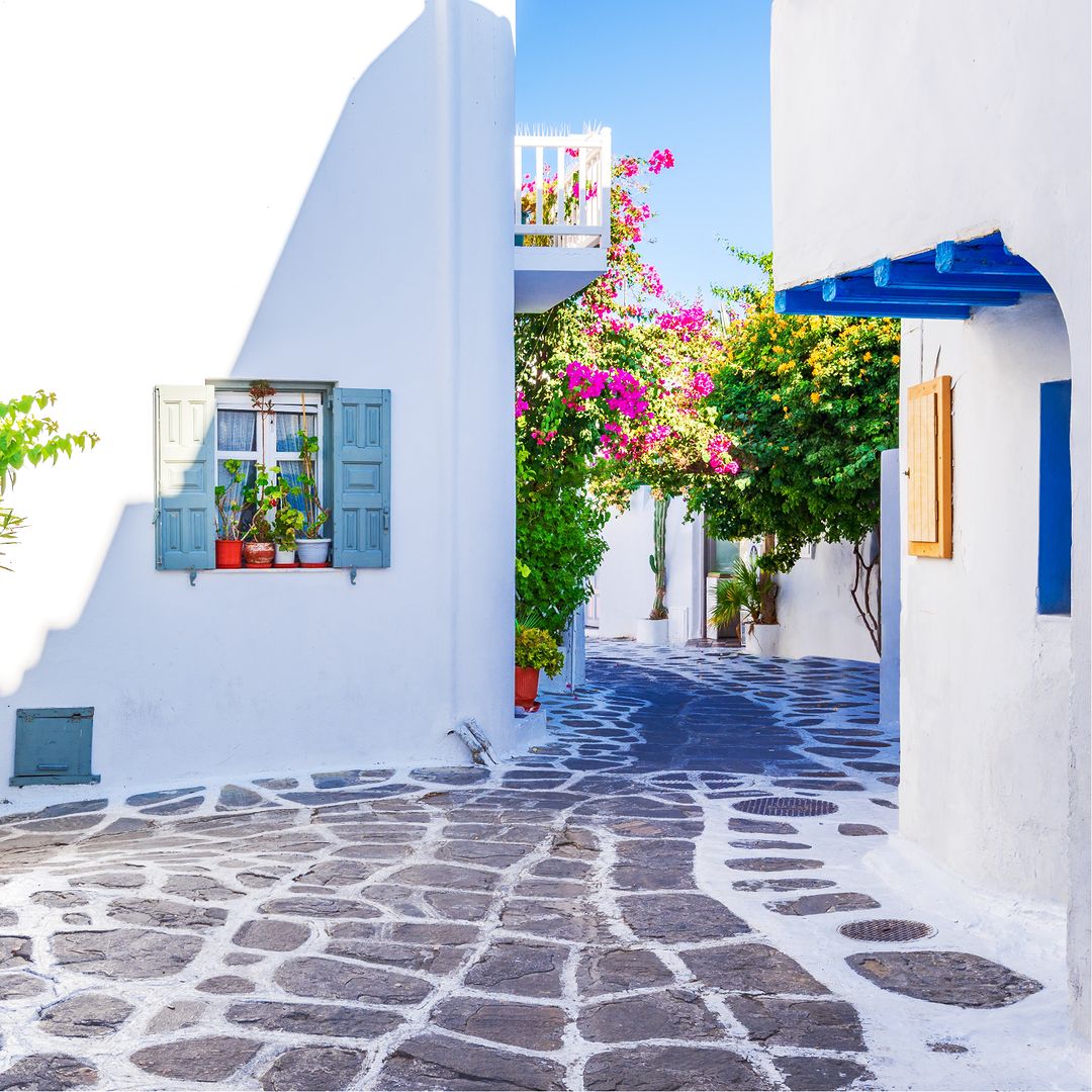 #Mykonos: a canvas of cobalt blue doors, pristine walls, and flowers that dance with the light. 🇬🇷 📷 bluestarferries