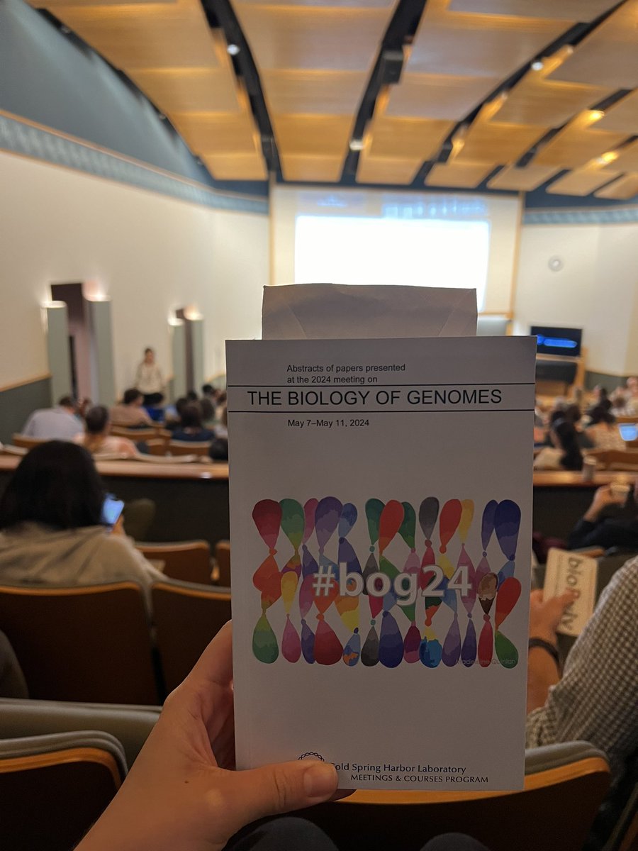mrm_matos's tweet photo. Had a great time at my first of many CSHL Biology of Genomes #bog24 this week. Thanks to my mentors @greally and @tuuliel for the opportunity! https://t.co/H7SPsA93WP